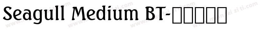 Seagull Medium BT字体转换